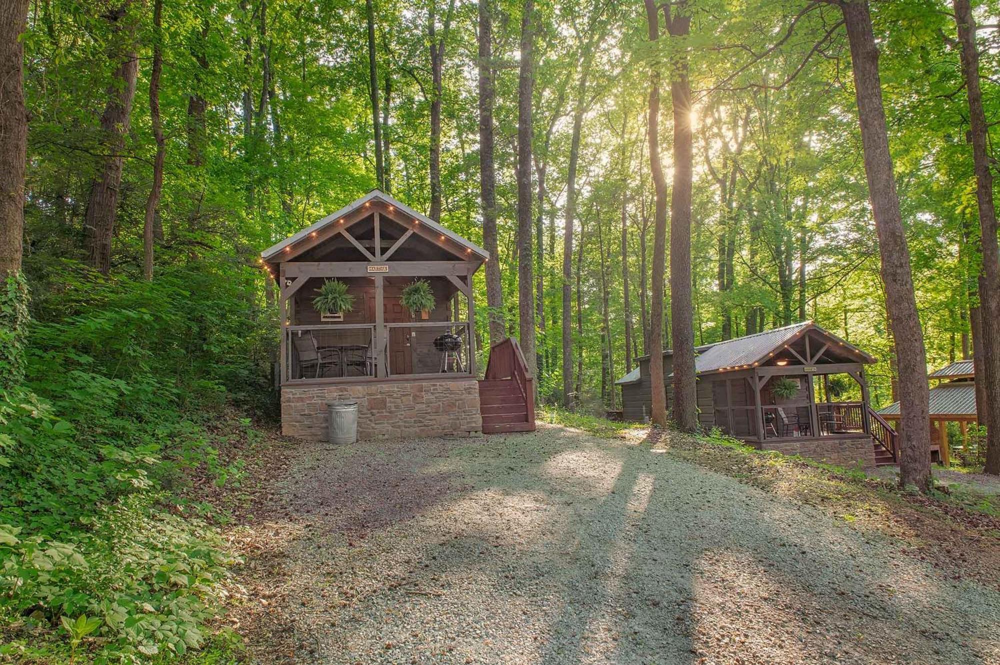 Martha Cabin Tiny Cabin By Downtown Чатануга Екстериор снимка